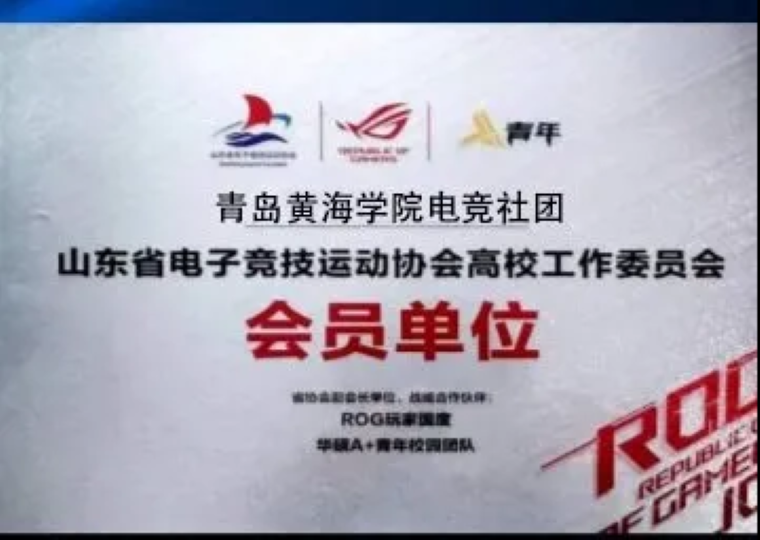 山東省電競運動協會與大數據學院召開電競專業報告會