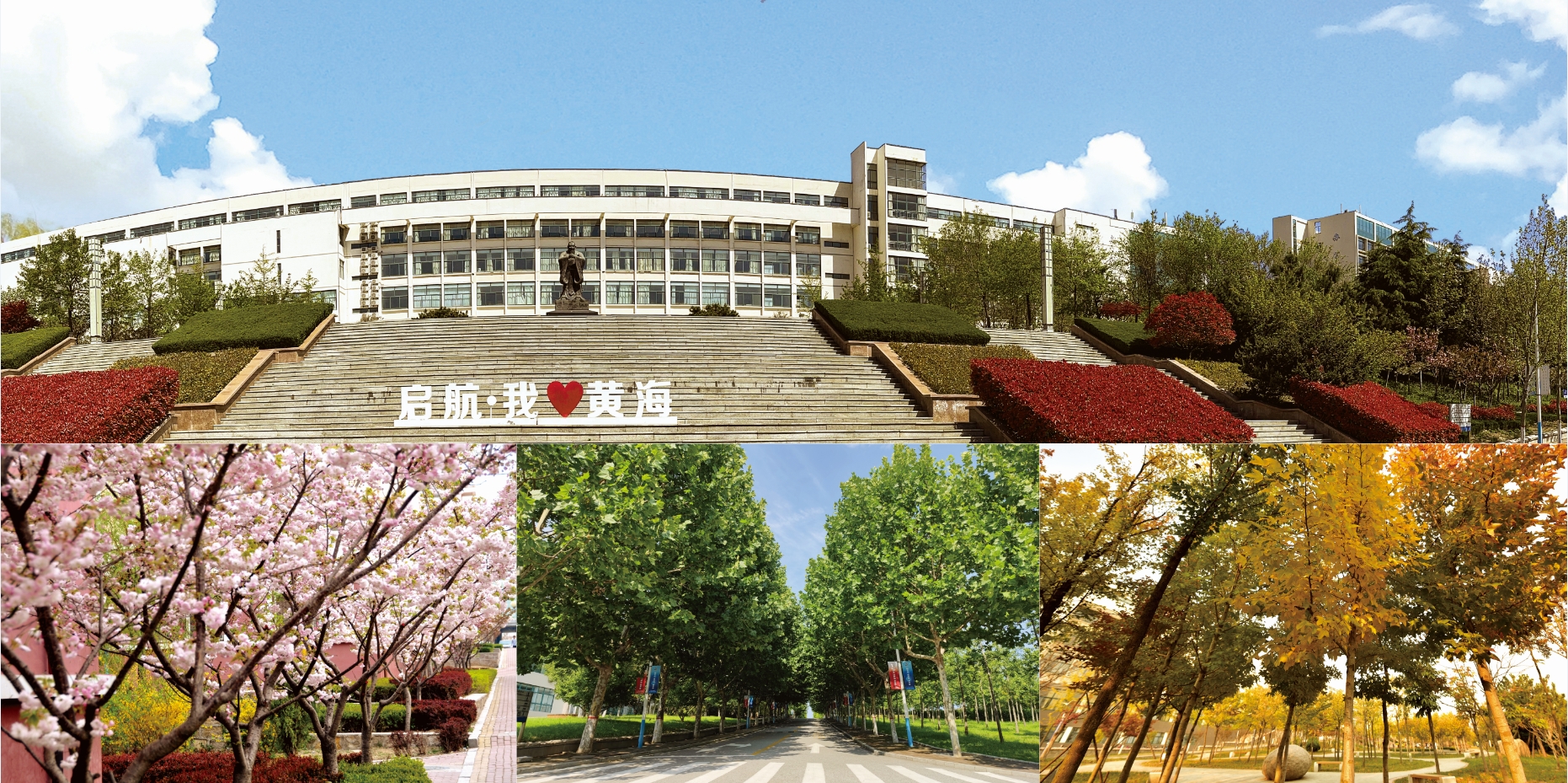 2021年青島黃海學院校慶宣傳冊