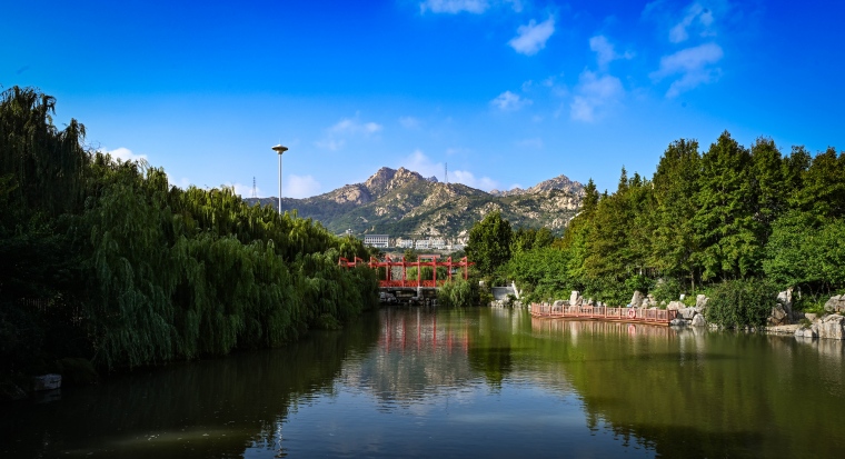 我校獲“2025山東最佳品牌影響力高校”稱號