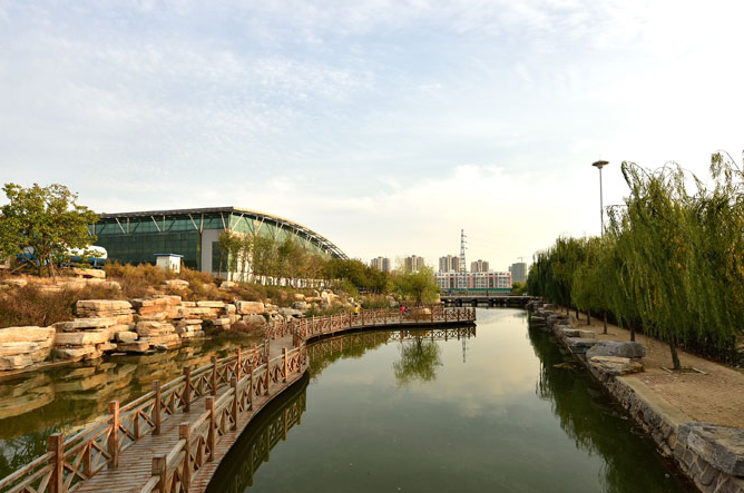 2019年山東省自然科學基金學科組評審建議項目名單培養基金）結果公布 我校教師參與的項目獲批立項